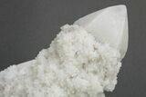 Milky, Candle Quartz Crystal Cluster - Inner Mongolia #226277-3